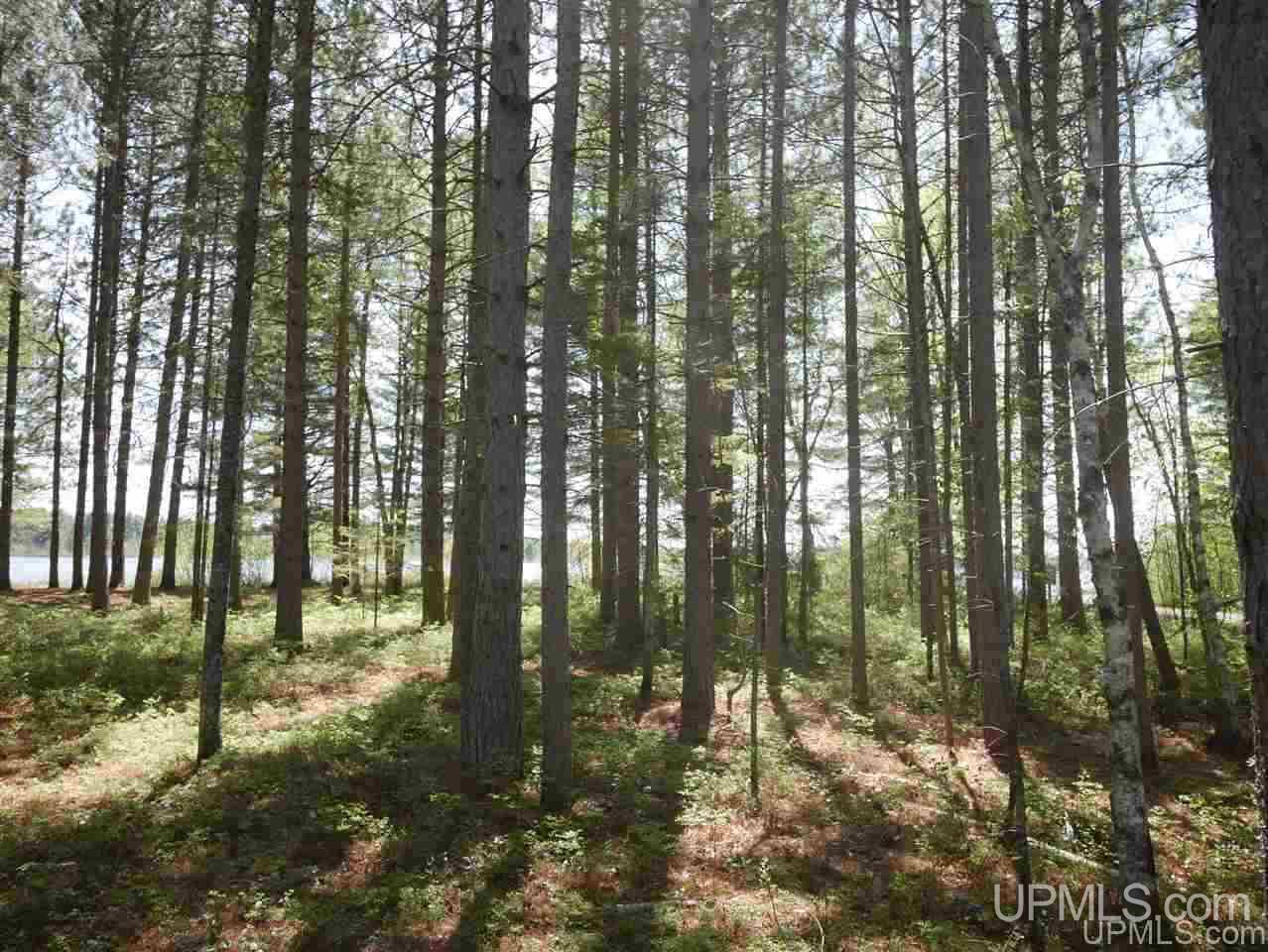 33985 Rice Landing Rd Lake Lake Linden, MI 49945 - Photo 15 of 30