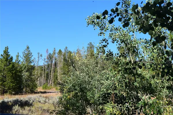a view of a tree with a yard