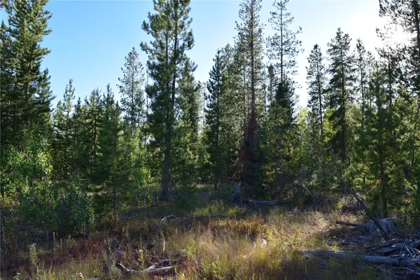 a view of lake with green space