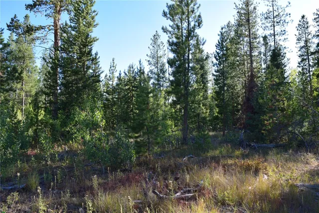 a view of a lake in middle of forest
