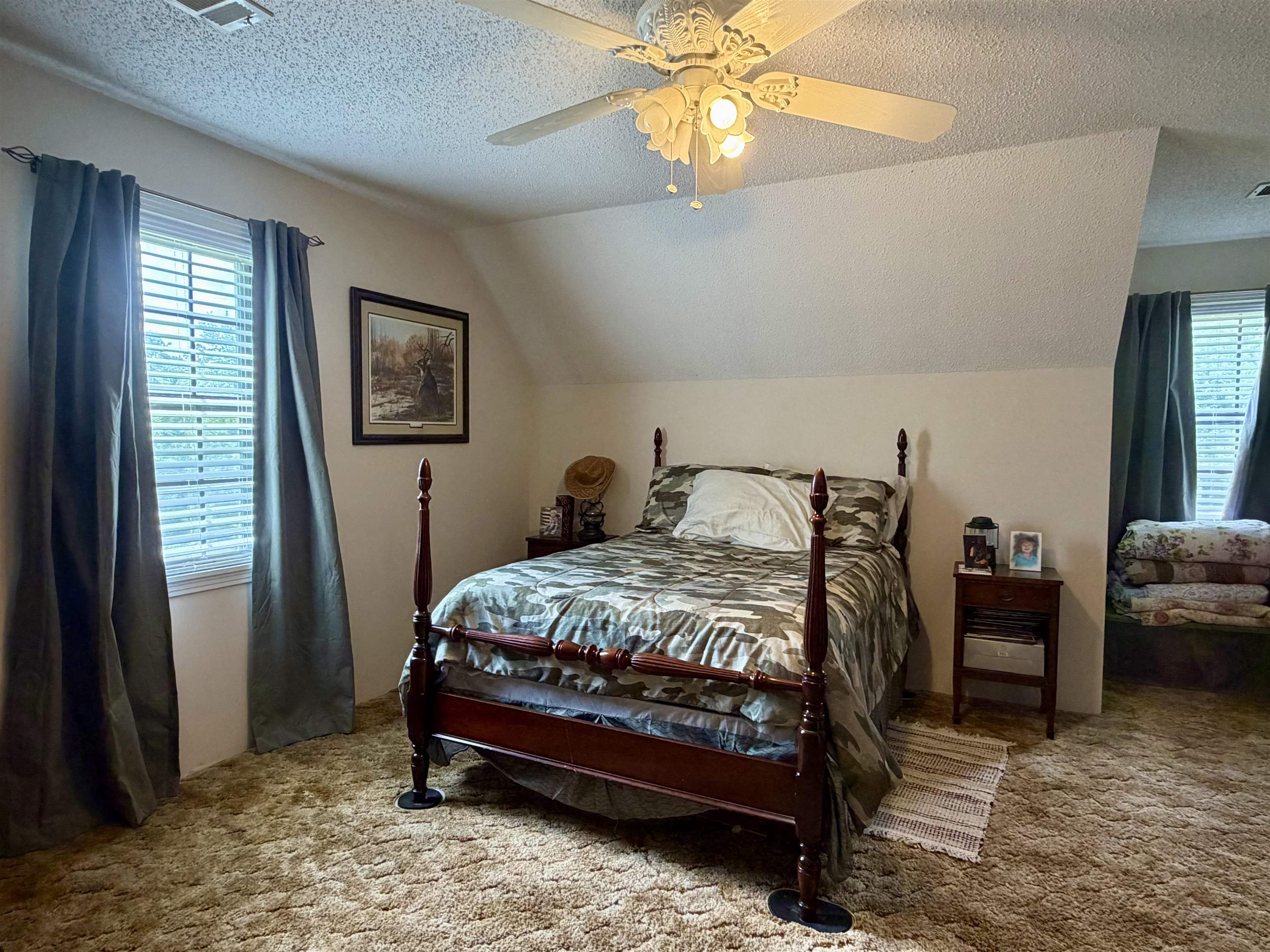 142 Treece Street Selmer, TN 38375 - Photo 17 of 36 Carpeted room with a ceiling fan, sloped ceiling, and multiple windows