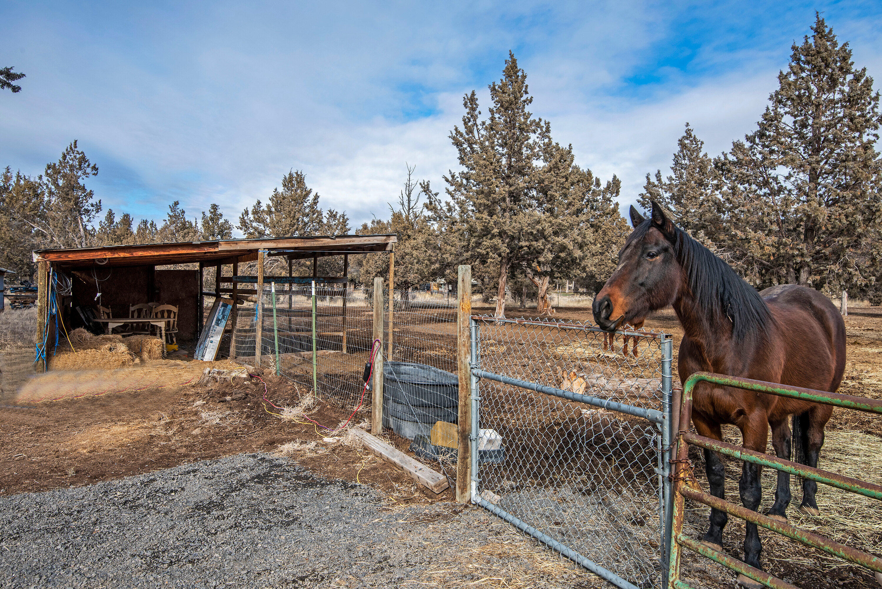 12608 Southeast Bridge Road Prineville, OR 97754 - Photo 18 of 25 12608 SE Bridge Rd Prineville-print-021-