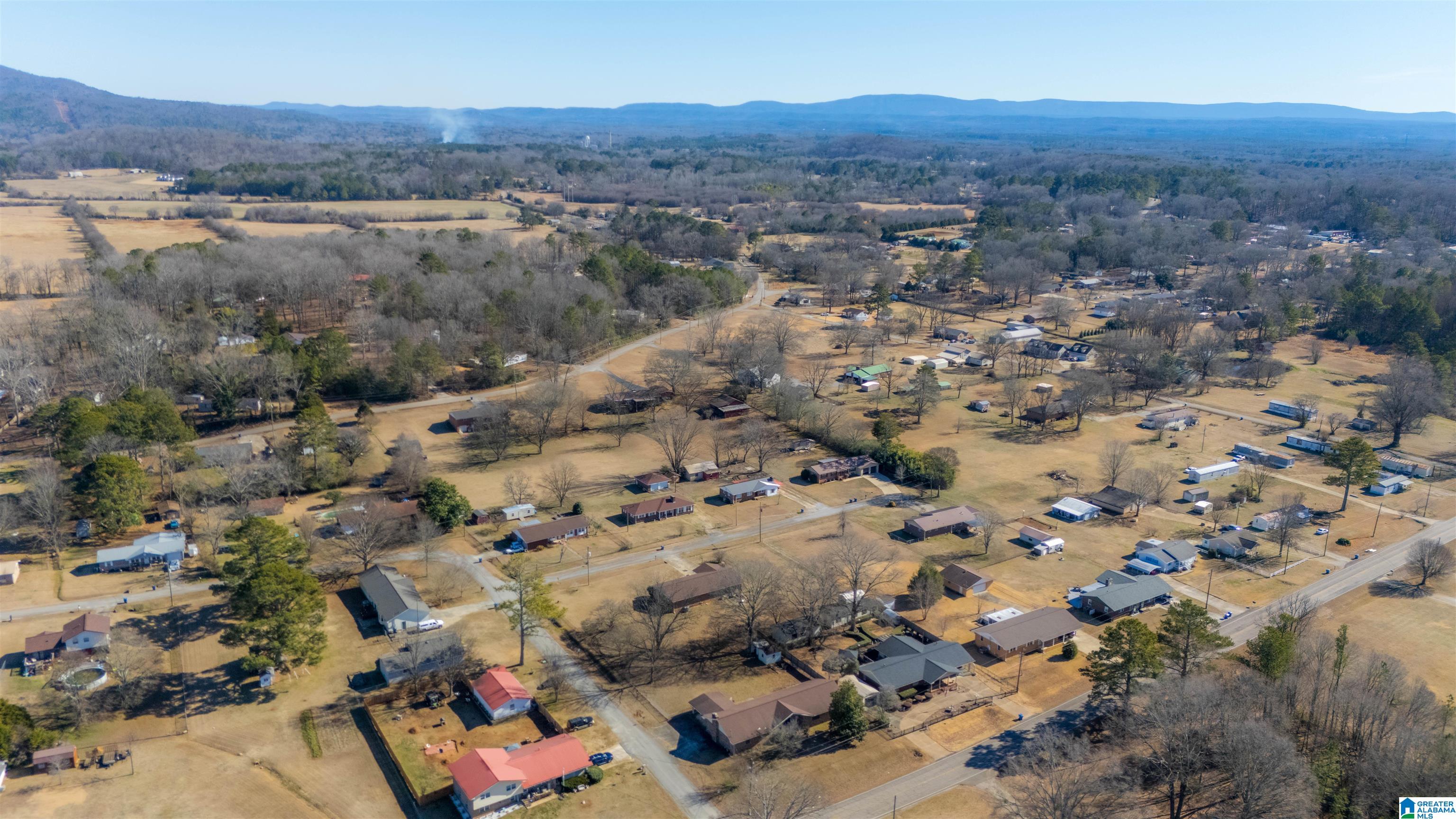 750 Bynum Cutoff Road Eastaboga, AL 36260 - Photo 6 of 41
