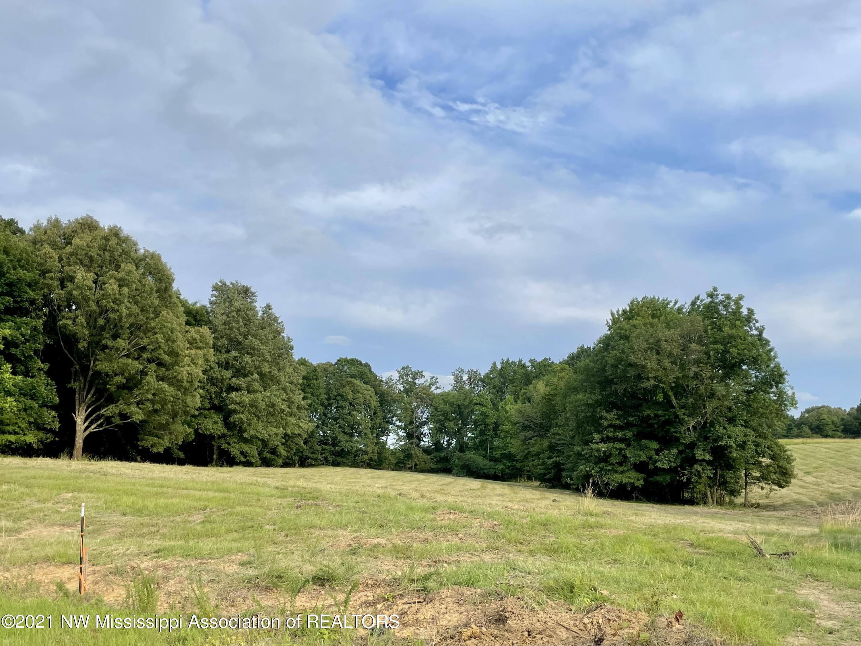 5 Ranch Road Hernando, MS 38632 - Photo 1 of 1 Grace Farms