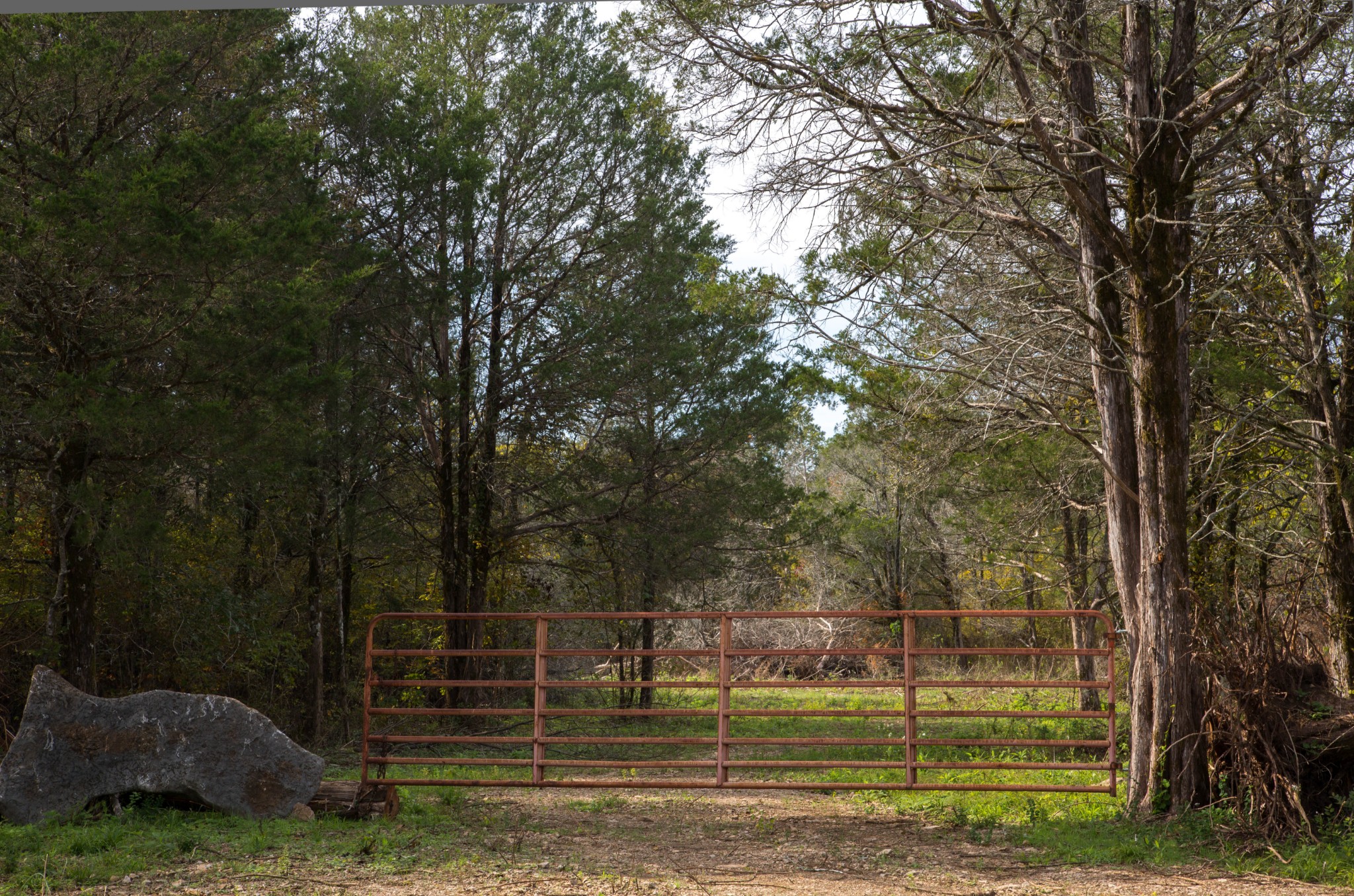 0 Whitus Road Rockvale, TN 37153 - Photo 1 of 12 Gallery Image 1