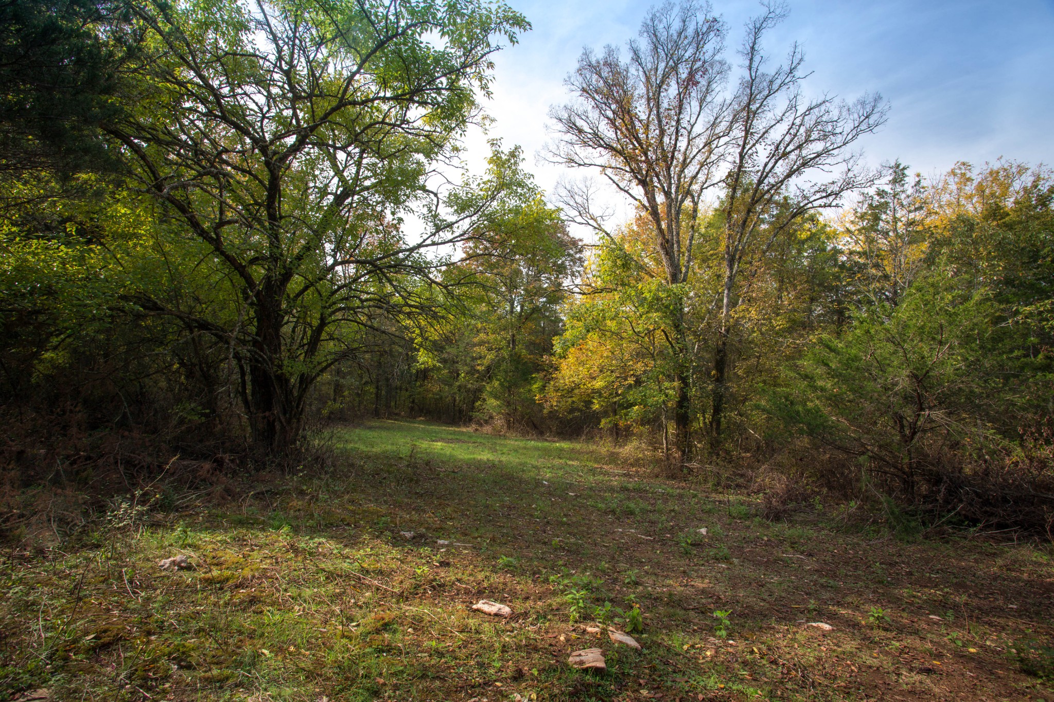0 Whitus Road Rockvale, TN 37153 - Photo 2 of 12 Gallery Image 2