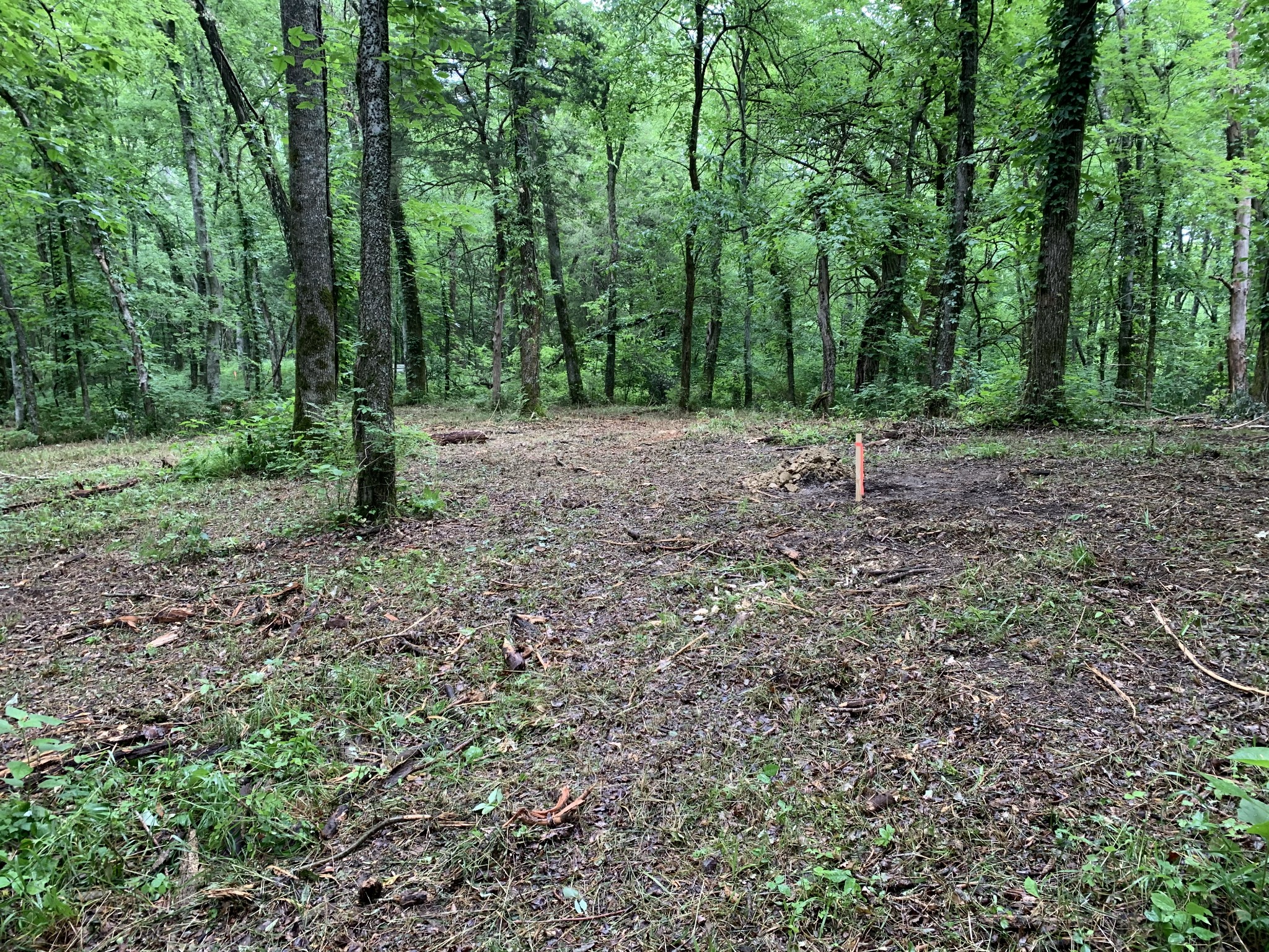 0 Whitus Road Rockvale, TN 37153 - Photo 6 of 12 Gallery Image 6