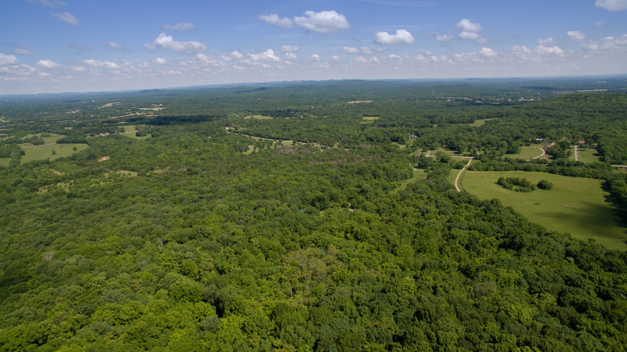 0 Whitus Road Rockvale, TN 37153 - Photo 10 of 12 Gallery Image 10