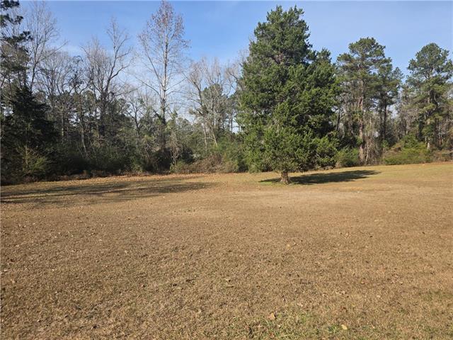 141 Newman Wainwright Road Pollock, LA 71467 - Photo 11 of 33 Gallery Image 11