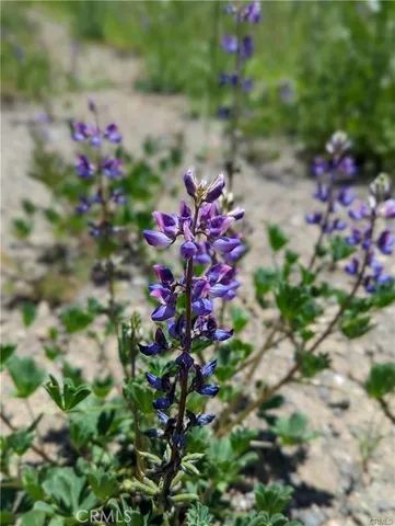 $135,000 | 20325 Morgan Valley Road, Lower Lake, CA 95457