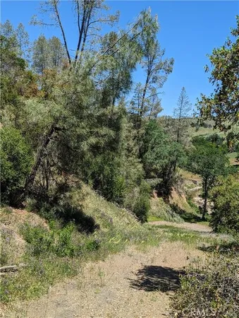 $130,000 | 20325 Morgan Valley Road, Lower Lake, CA 95457