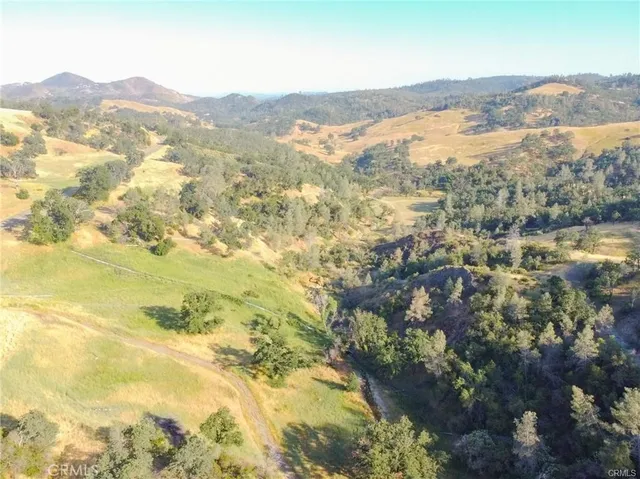a view of a field with a tree in the background