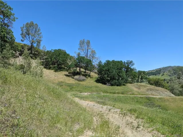 a view of a yard with plants and a building