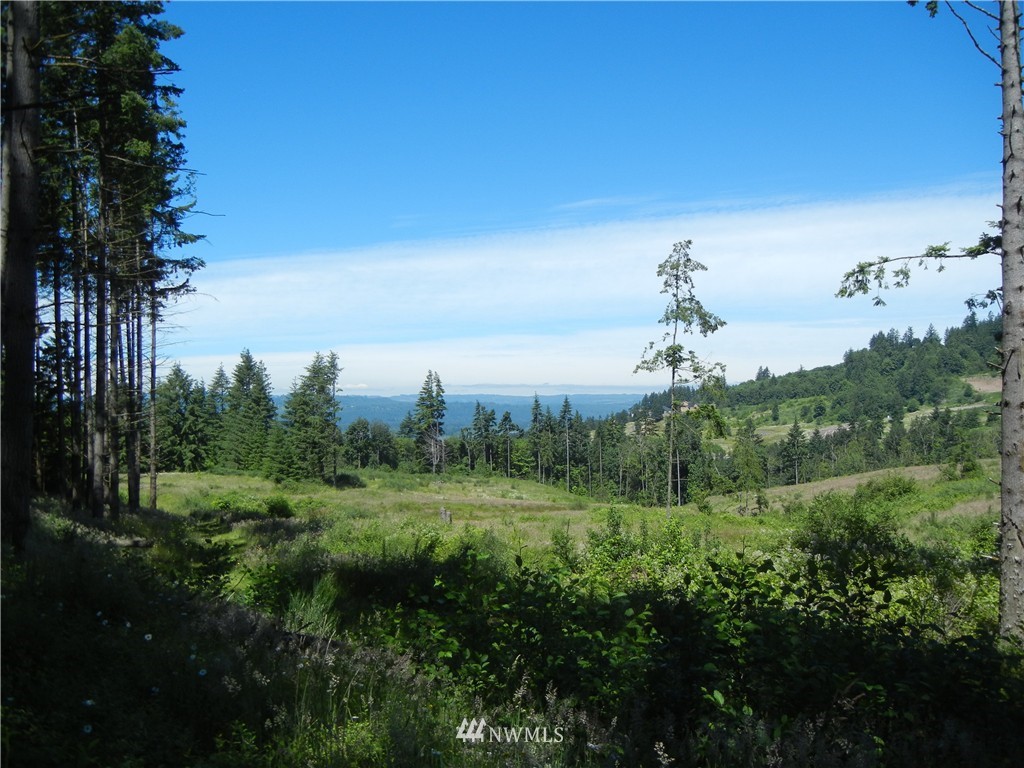 0 Falcon Road Kalama, WA 98625 - Photo 1 of 17 Gallery Image 1