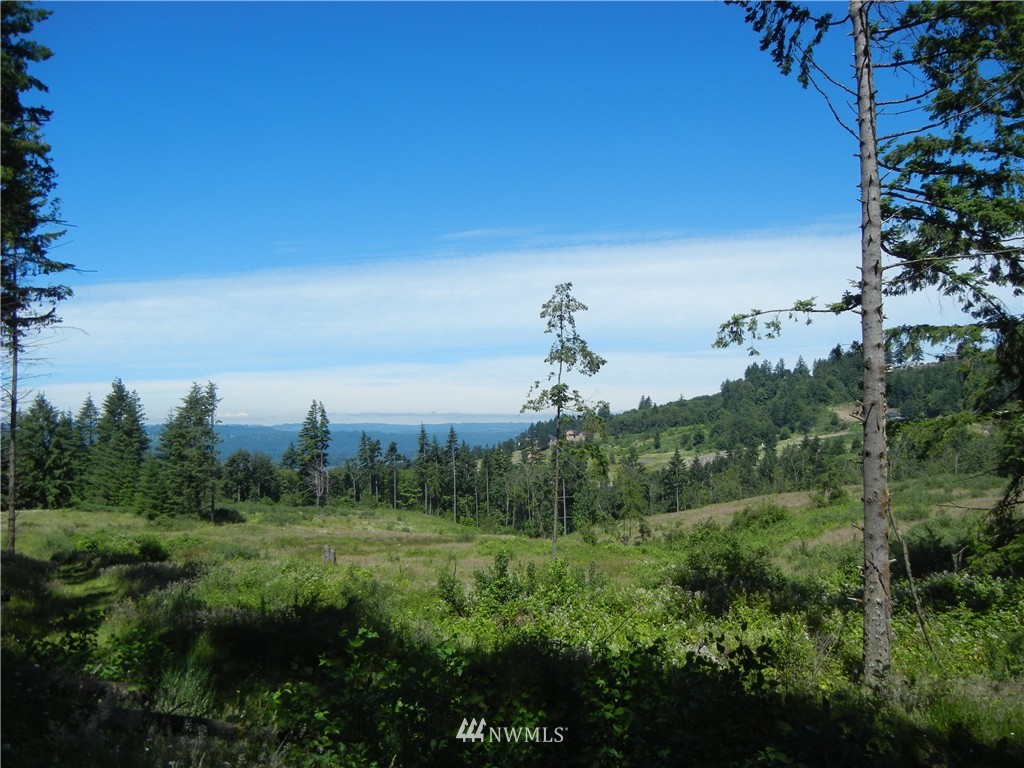 0 Falcon Road Kalama, WA 98625 - Photo 2 of 17 Gallery Image 2