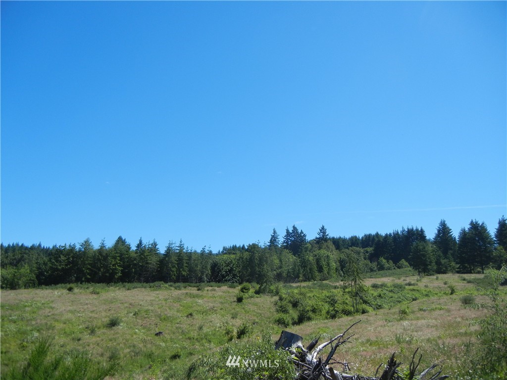 0 Falcon Road Kalama, WA 98625 - Photo 11 of 17 Gallery Image 11