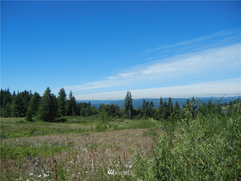 0 Falcon Road Kalama, WA 98625 - Photo 12 of 17 Gallery Image 12