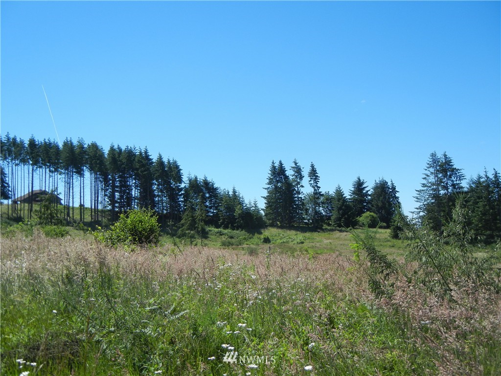 0 Falcon Road Kalama, WA 98625 - Photo 13 of 17 Gallery Image 13