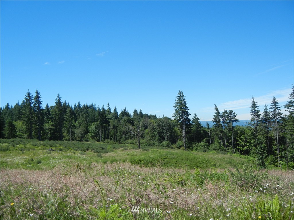0 Falcon Road Kalama, WA 98625 - Photo 14 of 17 Gallery Image 14