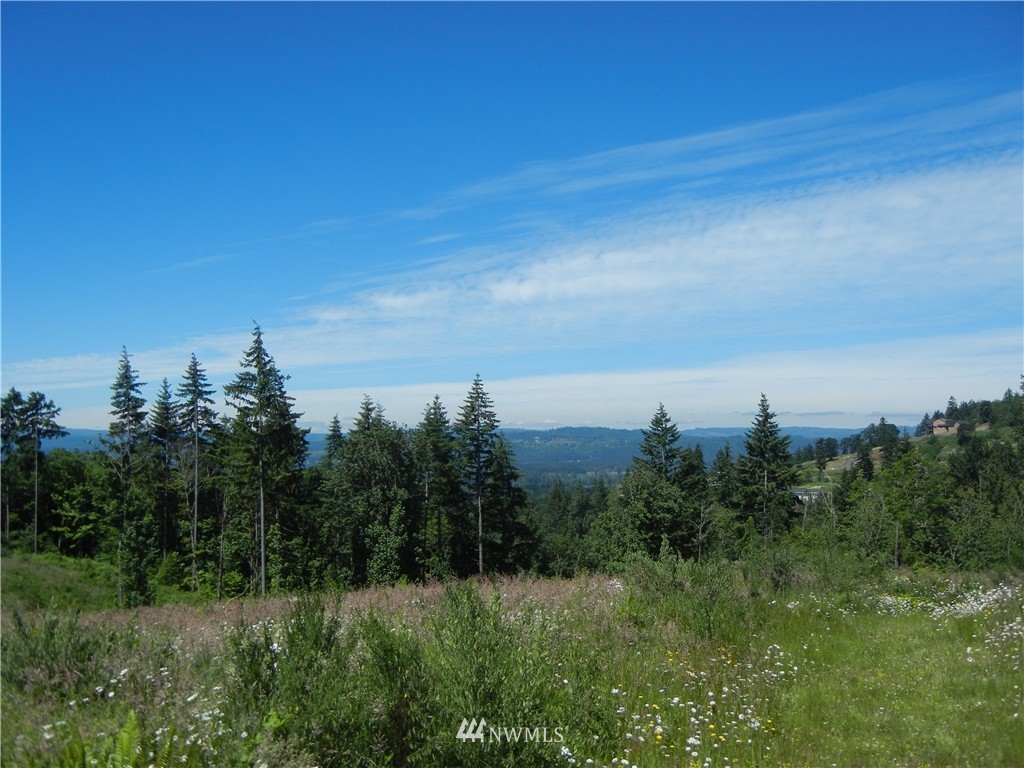 0 Falcon Road Kalama, WA 98625 - Photo 15 of 17 Gallery Image 15