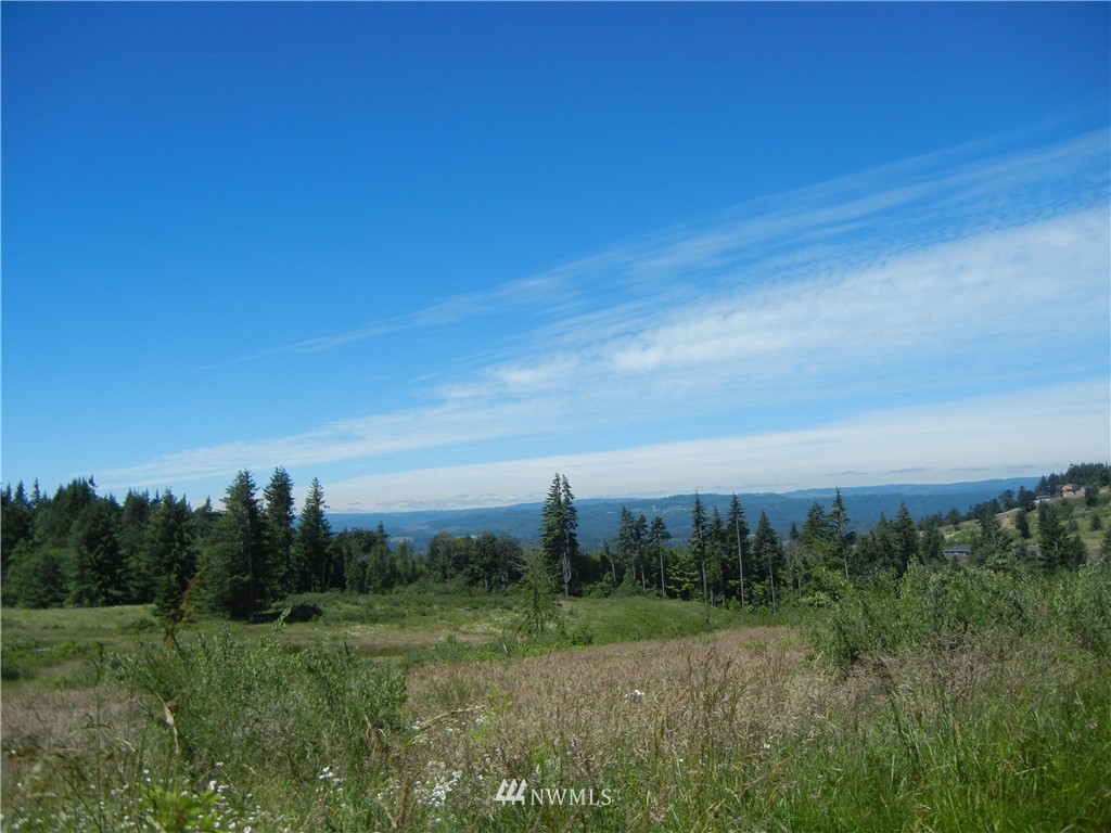 0 Falcon Road Kalama, WA 98625 - Photo 16 of 17 Gallery Image 16