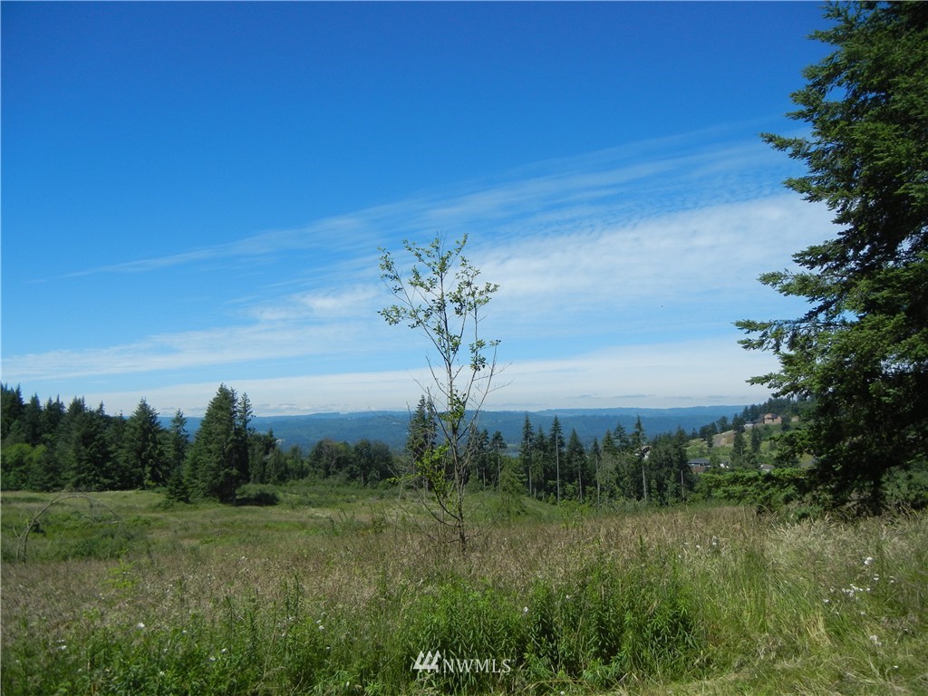 0 Falcon Road Kalama, WA 98625 - Photo 17 of 17 Gallery Image 17
