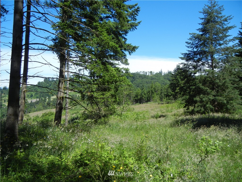 0 Falcon Road Kalama, WA 98625 - Photo 3 of 17 Gallery Image 3