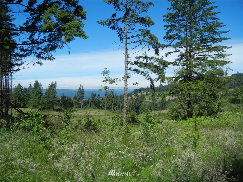 0 Falcon Road Kalama, WA 98625 - Photo 4 of 17 Gallery Image 4