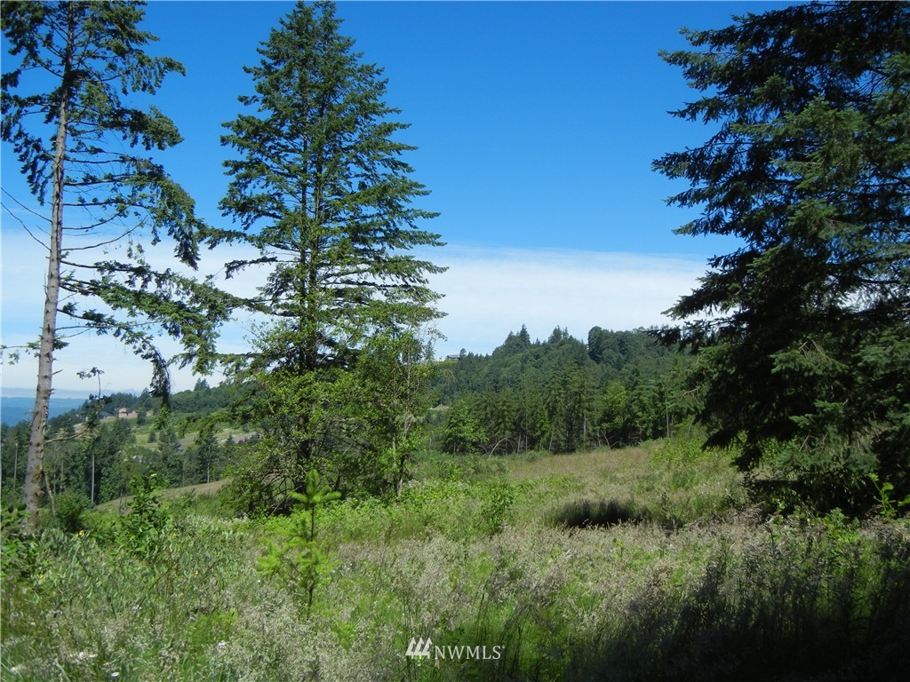 0 Falcon Road Kalama, WA 98625 - Photo 5 of 17 Gallery Image 5
