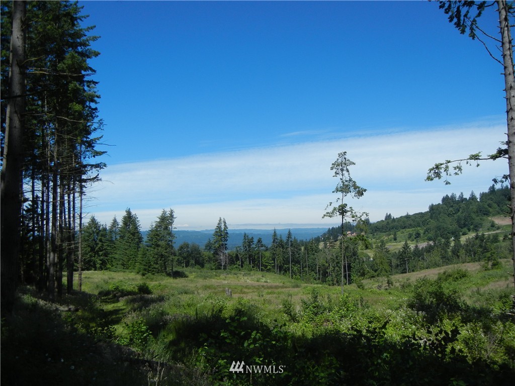 0 Falcon Road Kalama, WA 98625 - Photo 7 of 17 Gallery Image 7