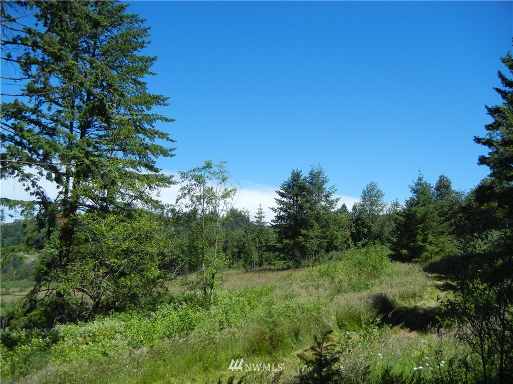 0 Falcon Road Kalama, WA 98625 - Photo 8 of 17 Gallery Image 8