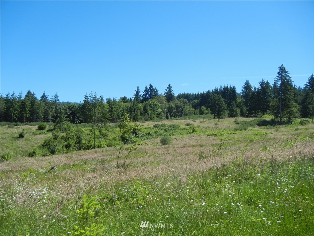 0 Falcon Road Kalama, WA 98625 - Photo 9 of 17 Gallery Image 9