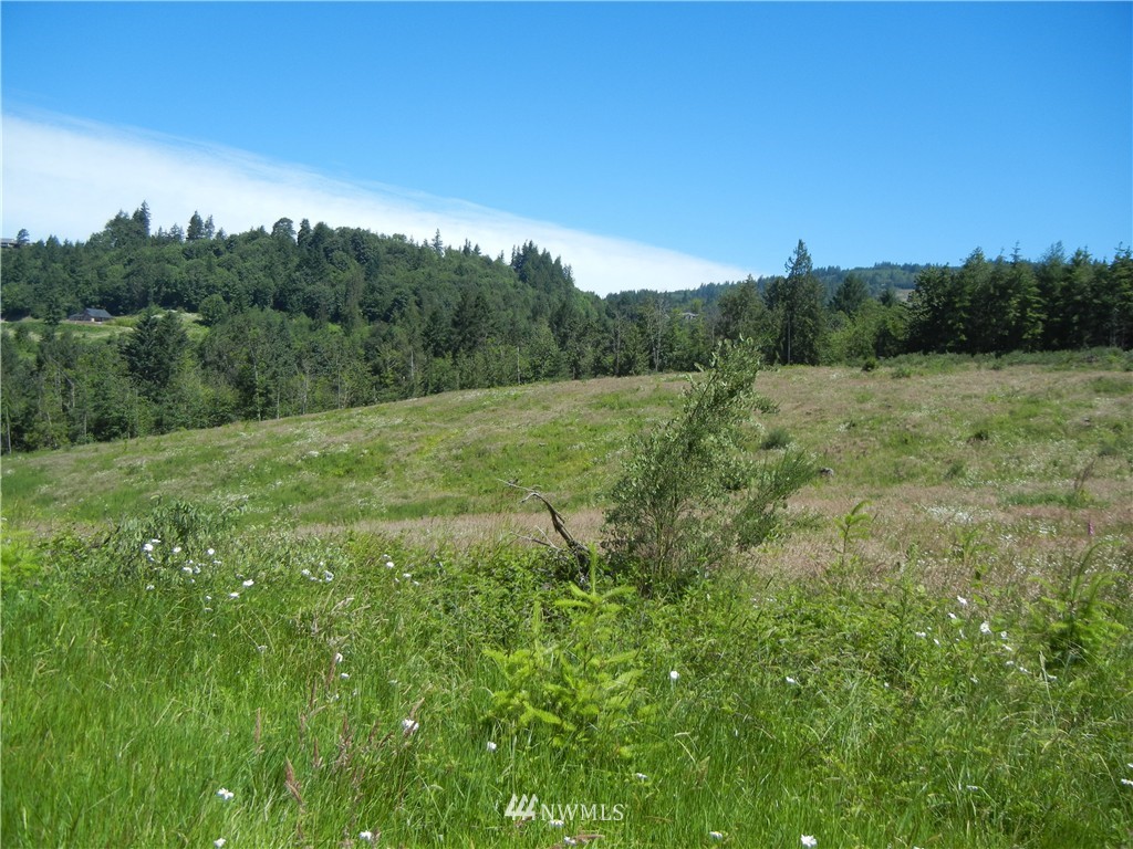 0 Falcon Road Kalama, WA 98625 - Photo 10 of 17 Gallery Image 10