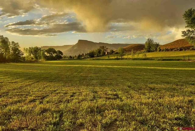 a view of a yard with wooden fence