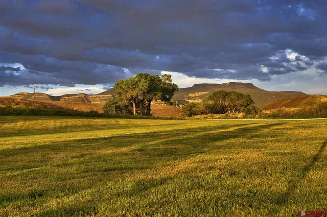 a view of a field with an ocean view
