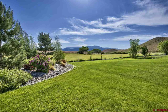 a view of a garden with a building in the background