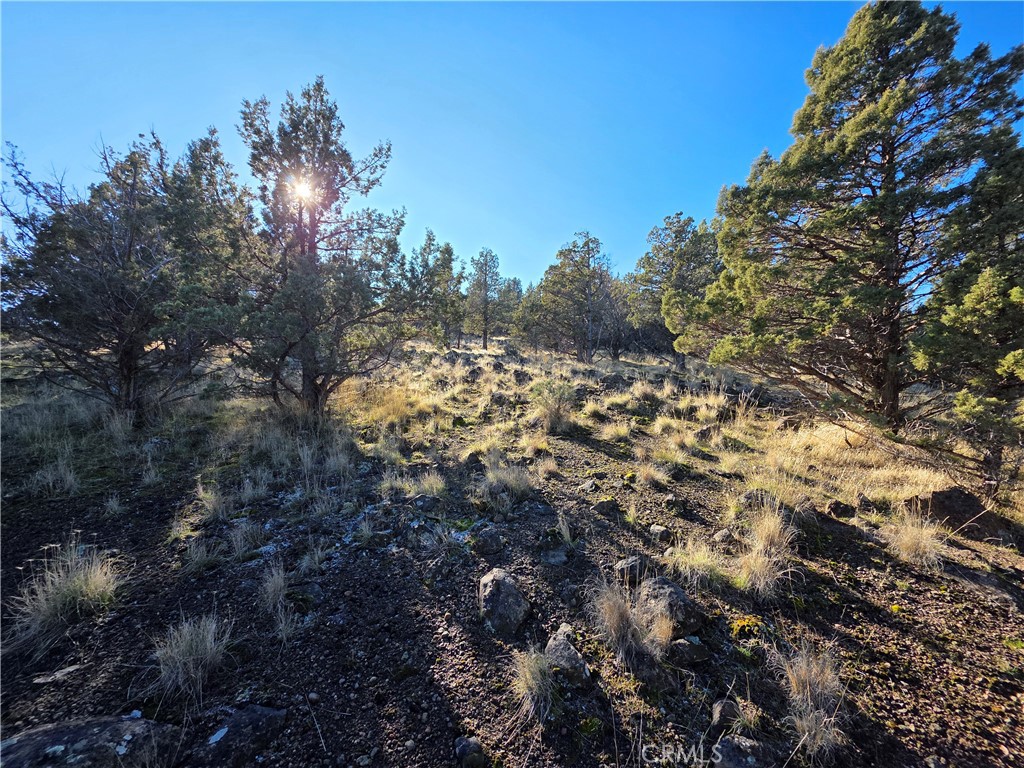 25 Quail Ridge Weed, CA 96094 - Photo 1 of 18 a view of a yard