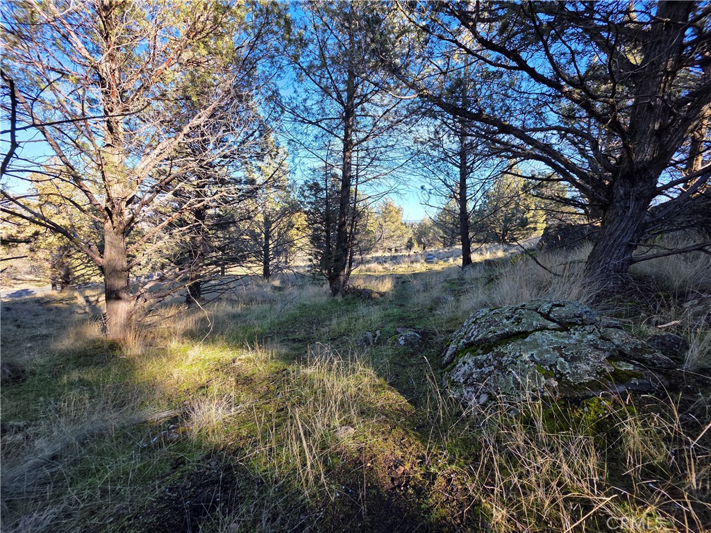 25 Quail Ridge Weed, CA 96094 - Photo 5 of 18 a view of lake with green space