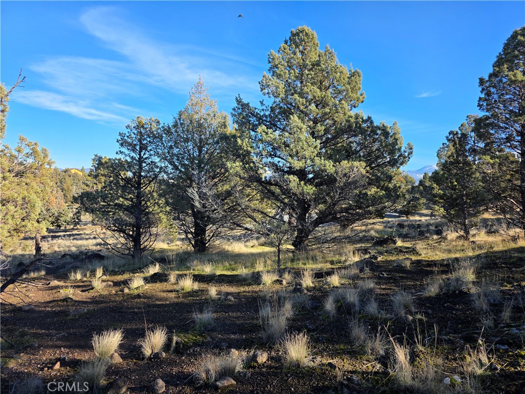 25 Quail Ridge Weed, CA 96094 - Photo 8 of 18 a view of a city