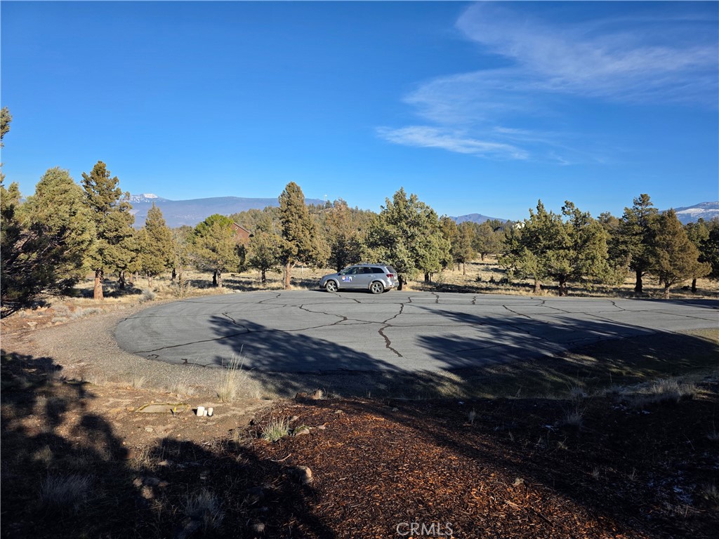 25 Quail Ridge Weed, CA 96094 - Photo 10 of 18