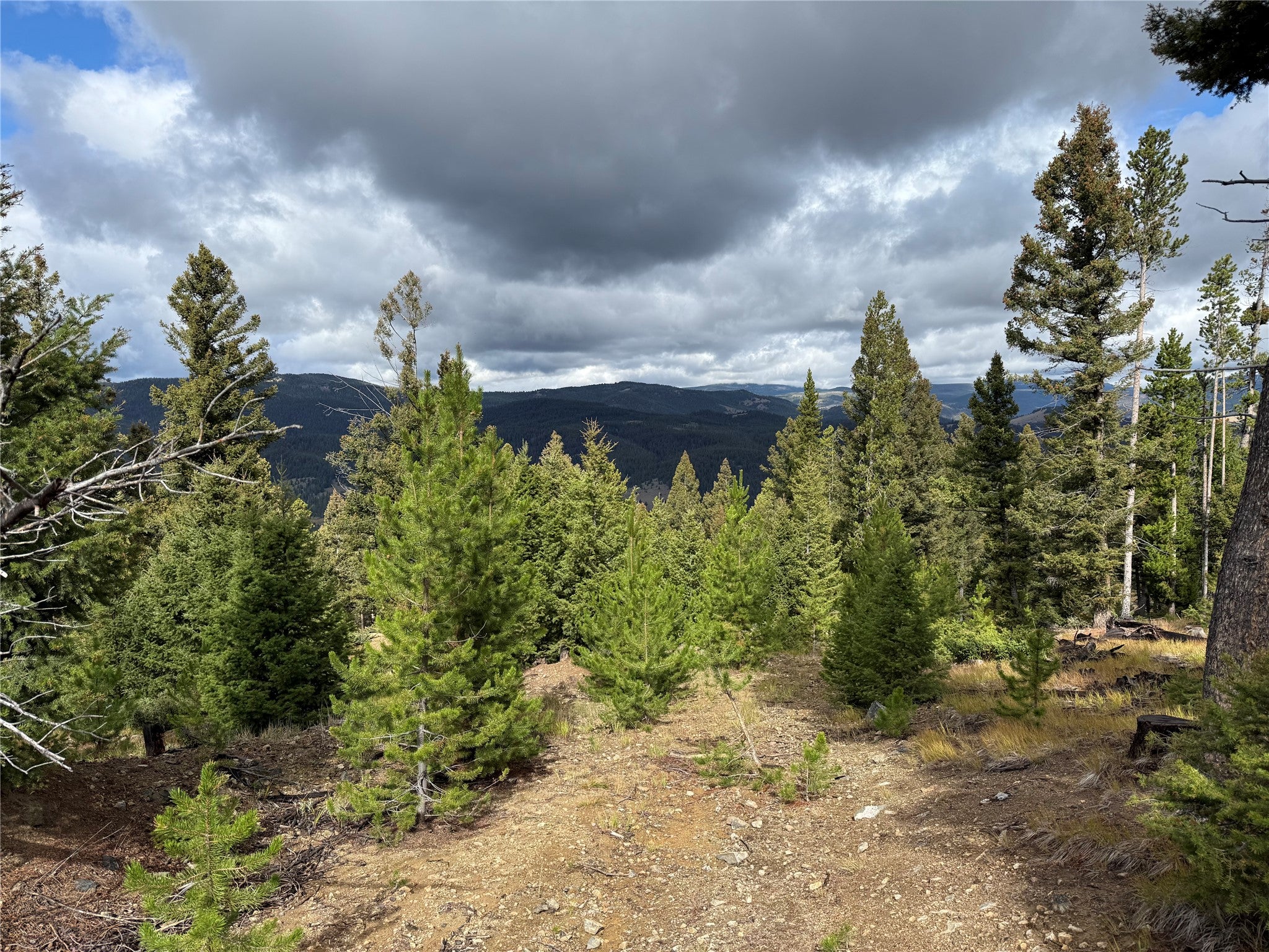 Lot 8 Ruby Street Butte, MT 59701 - Photo 16 of 34 Gallery Image 16