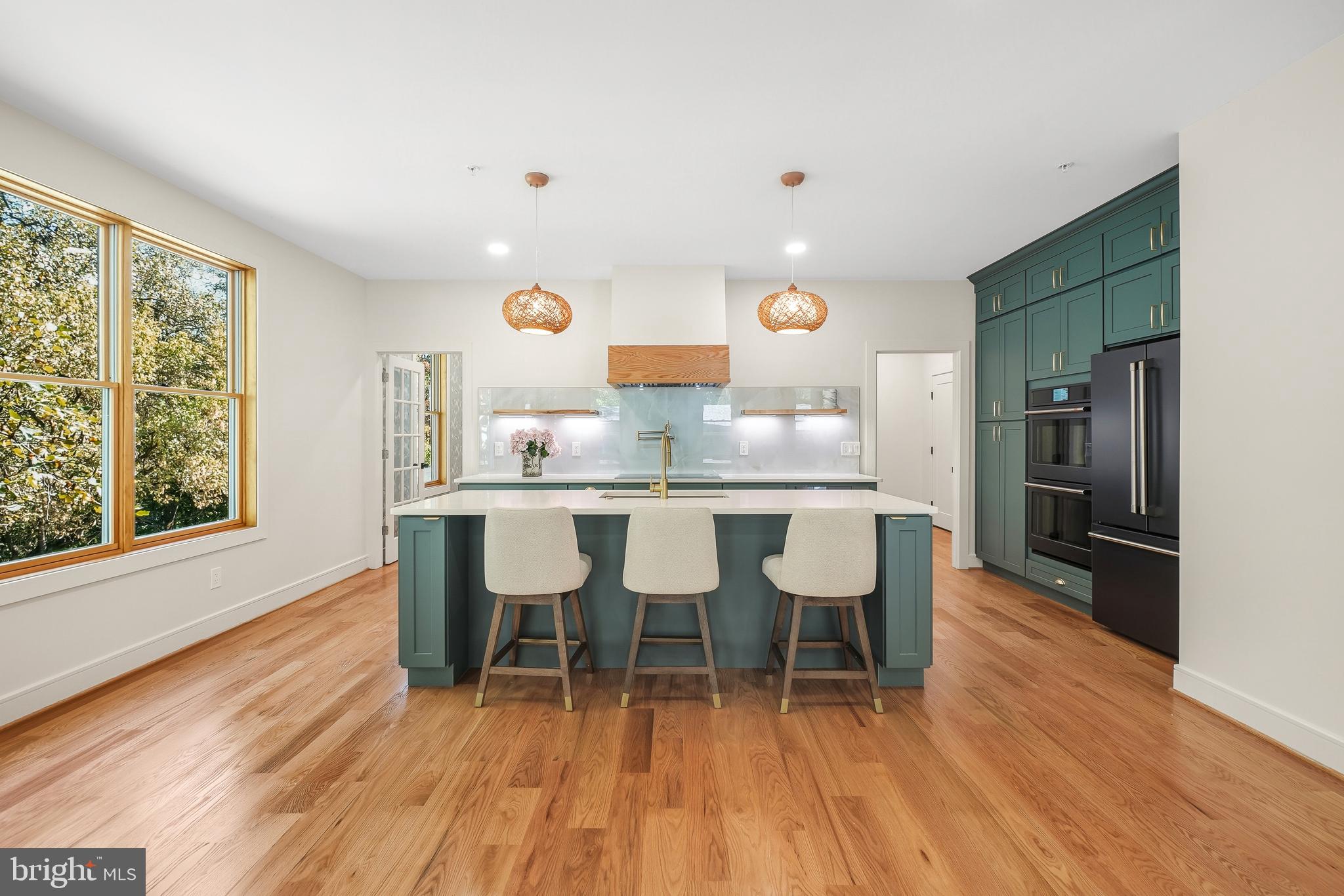 110 Geneva Avenue Silver Spring, MD 20910 - Photo 18 of 62 Striking Gourmet Kitchen