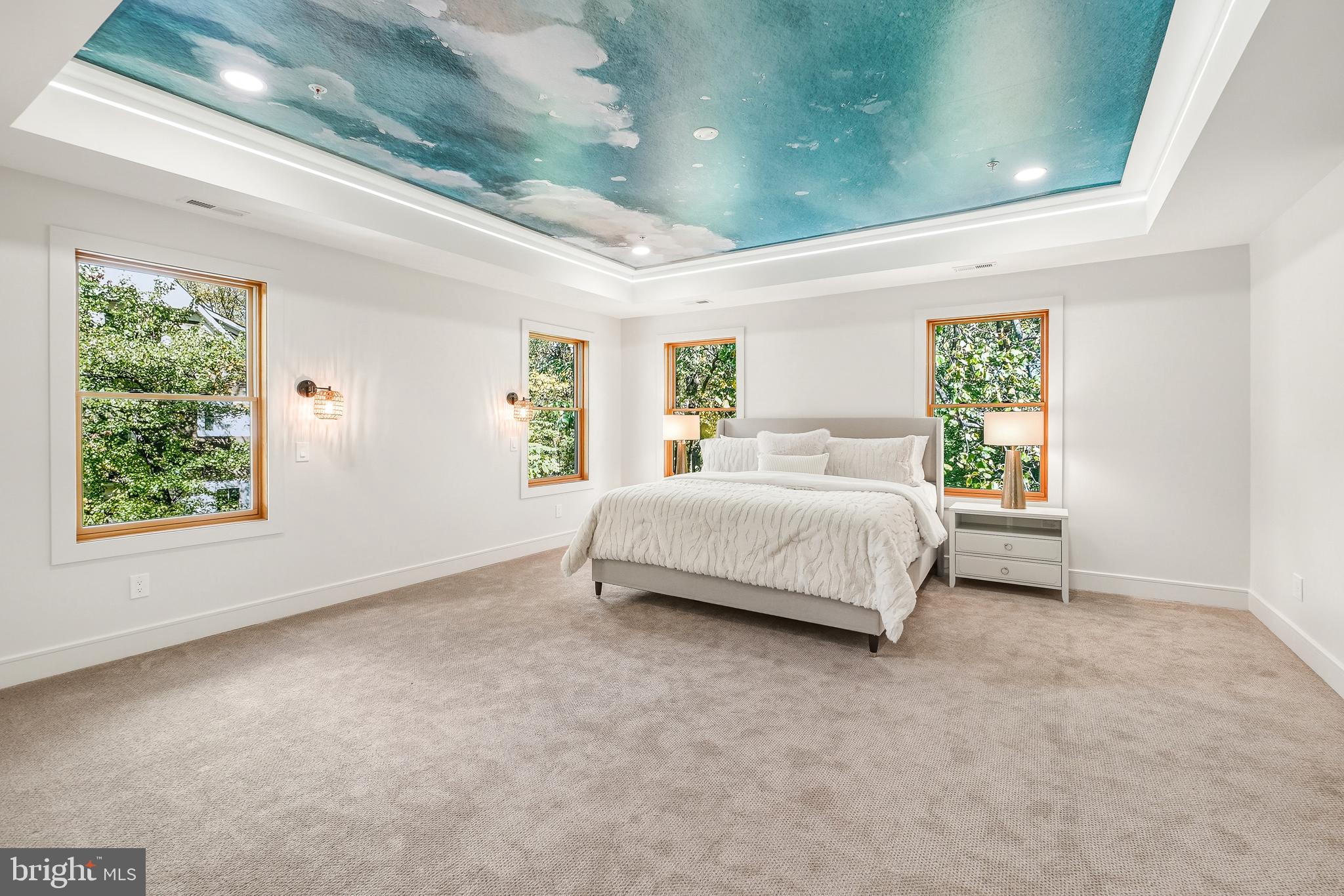 110 Geneva Avenue Silver Spring, MD 20910 - Photo 28 of 62 Tray Ceiling with Playful Ocean Theme