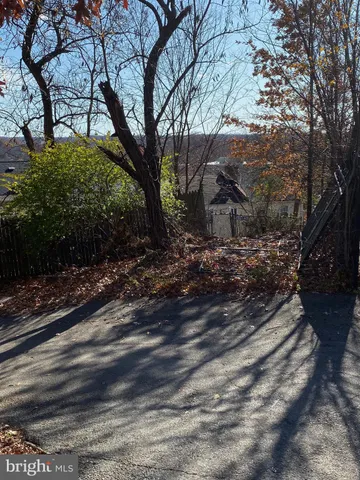a view of a yard with plants and trees