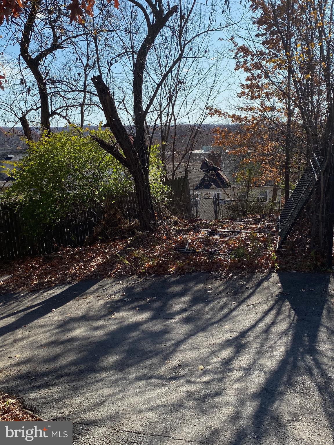5015 Jay Street Northeast Washington, DC 20019 - Photo 3 of 3 a view of a yard with plants and trees