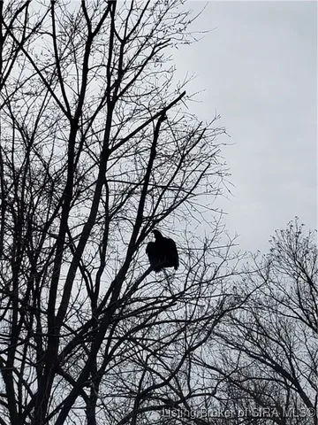 $459,000 | North Side White River Road, Campbellsburg, IN 47108