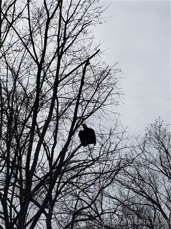 North Side White River Road Campbellsburg, IN 47108 - Photo 16 of 18