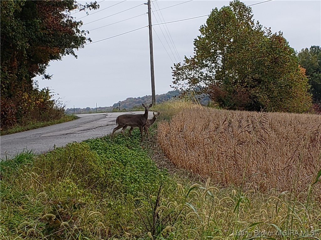 North Side White River Road Campbellsburg, IN 47108 - Photo 17 of 18