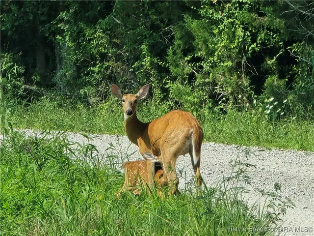 $459,000 | North Side White River Road, Campbellsburg, IN 47108