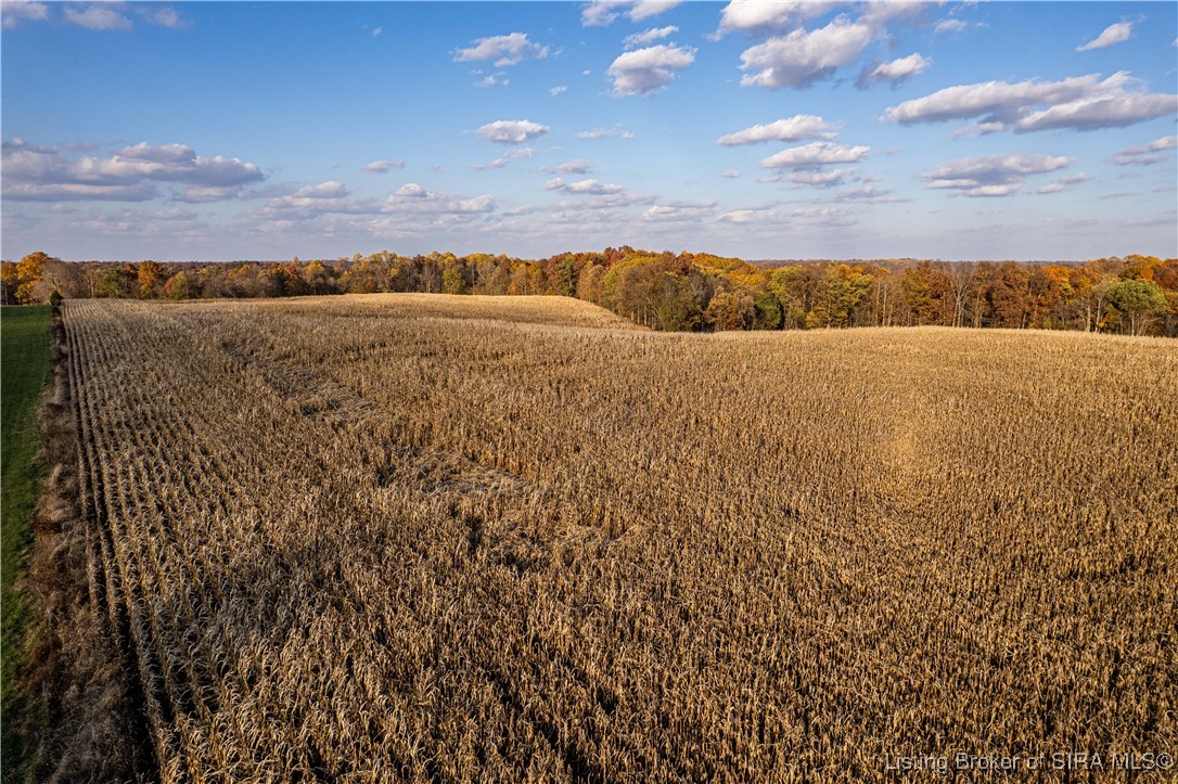 North Side White River Road Campbellsburg, IN 47108 - Photo 5 of 18